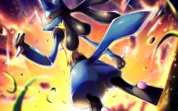 Rule 34 | arm at side, bad id, bad twitter id, blurry, blurry background, body fur, closed mouth, commentary request, creatures (company), from below, furry, game freak, gen 4 pokemon, glowing, hand up, legs apart, looking at viewer, looking back, lucario, nintendo, pink eyes, pokemon, pokemon (creature), rock, rowdon, solo, standing
