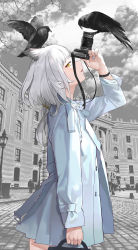 Rule 34 | 1girl, :d, absurdres, alternate costume, animal, animal on head, arknights, arm up, bag, bird, bird on head, blue coat, blue nails, building, camera, casual, coat, cowboy shot, grey hair, highres, holding, holding bag, holding camera, huibai bri, long sleeves, looking at viewer, looking to the side, nail polish, on head, open clothes, open coat, open mouth, outdoors, owl ears, ptilopsis (arknights), short hair, sideways glance, smile, solo, wristband, yellow eyes