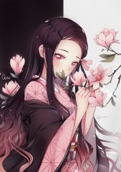 Rule 34 | brown hair, commentary, english commentary, flower, gradient hair, hair ribbon, highres, holding, holding flower, japanese clothes, kamado nezuko, kimetsu no yaiba, kimono, long hair, looking at viewer, multicolored hair, obi, open mouth, quiss, red eyes, ribbon, sash, signature, simple background, smelling flower, smile, solo