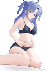 Rule 34 | 1girl, belly grab, black bra, black panties, blue archive, blue eyes, blue hair, bra, breasts, cleavage, closed mouth, commentary request, guntree, hair ornament, halo, highres, long hair, looking down, mechanical halo, medium breasts, navel, panties, parted bangs, simple background, sitting, solo, two side up, underwear, underwear only, weight conscious, white background, yuuka (blue archive)