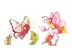 Rule 34 | antennae, bee, beedrill, bug, butterfly, butterfree, caterpie, commentary, creature, creatures (company), english commentary, evolution, evolutionary line, eye contact, fangs, flying, francis lumanog, game freak, gen 1 pokemon, holding, holding pokemon, horns, bug, kakuna, looking at another, metapod, nintendo, no humans, orange eyes, pink eyes, pokemon, pokemon (creature), simple background, single horn, standing, standing on one leg, weedle, white background