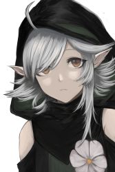 Rule 34 | 1girl, absurdres, ahoge, arknights, bare shoulders, black shirt, brown eyes, clothing cutout, flower, grey hair, highres, hood, hood up, hooded shirt, looking at viewer, moon-of-scarlet, open mouth, pointy ears, portrait, shirt, short hair, shoulder cutout, simple background, solo, tomimi (arknights), white background, white flower