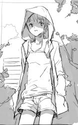 Rule 34 | 1boy, bad id, bad pixiv id, bench, border, branch, bush, coat, coin rand, greyscale, hands in pockets, hood, male focus, monochrome, open clothes, open coat, original, park, park bench, raincoat, shade, shorts, sketch, solo, tank top, tree