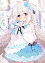 Rule 34 | 1girl, :o, ahoge, animal ear fluff, animal ears, bare shoulders, blue bow, blue skirt, blurry, blurry background, blush, bow, commentary request, depth of field, flower, grey hair, hair between eyes, hand up, highres, kagerou (shadowmage), long hair, long sleeves, looking at viewer, low twintails, original, parted lips, puffy long sleeves, puffy sleeves, red eyes, rose, sakurada shiro (hy plus), shirt, skirt, sleeves past wrists, solo, standing, twintails, very long hair, white flower, white rose, white shirt, window