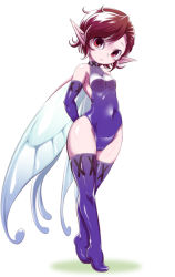Rule 34 | 1girl, armpits, arms behind back, bare shoulders, blue gloves, blue leotard, blue thighhighs, blue wings, breasts, brown hair, cameltoe, closed mouth, collarbone, covered navel, crossed legs, elbow gloves, eyebrows, facing away, fairy, fairy wings, frown, full body, gloves, groin, hair between eyes, head tilt, highleg, highleg leotard, leotard, nollety, pixie (megami tensei), pointy ears, red eyes, shin megami tensei, shiny clothes, shiny skin, short hair, simple background, small breasts, solo, standing, thighhighs, tiptoes, turtleneck, watson cross, white background, wings