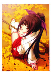 Rule 34 | 1girl, absurdres, adapted uniform, arm support, bamboo broom, black hair, broom, brown hair, downblouse, from above, from behind, ginkgo tree, hair ribbon, highres, holding, holding broom, japanese clothes, leaf, lips, lipstick, long hair, long sleeves, looking back, looking up, makeup, miko, nagomibako, nontraditional miko, on ground, orange eyes, original, parted lips, pleated skirt, ponytail, purple ribbon, ribbon, ribbon-trimmed legwear, ribbon-trimmed sleeves, ribbon trim, sandals, scan, sitting, skirt, solo, sugina miki, tabi, tachibana mikage, thighhighs, white thighhighs, yellow eyes
