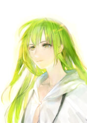 Rule 34 | 1other, androgynous, closed mouth, enkidu (fate), fate/grand order, fate (series), green eyes, green hair, long hair, looking at viewer, robe, simple background, solo, tomatika, upper body, white background, white robe