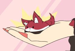 Rule 34 | 1girl, :3, absurdres, animal ears, commentary, english commentary, fingernails, highres, imaizumi kagerou, long fingernails, pink background, red nails, rownou, solo, solo focus, sukusuku hakutaku, tail, touhou, twitter username