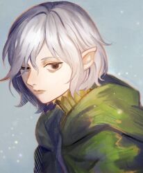 Rule 34 | 1boy, androgynous, bags under eyes, black eyes, cloak, dungeon meshi, elf, gorget, green cloak, grey hair, hood, hooded cloak, kabe piko, looking at viewer, male focus, mithrun, notched ear, one eye closed, pointy ears, short hair, solo, white hair