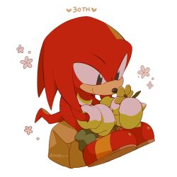 Rule 34 | 1boy, animal nose, artist name, black eyes, chibi, closed mouth, flower, full body, furry, furry male, gloves, green socks, heart, highres, holding, holding flower, knuckles the echidna, leaf, male focus, ombeo o, orange footwear, pink flower, red footwear, red fur, rock, shoes, simple background, sitting, smile, sneakers, socks, solo, sonic (series), sonic the hedgehog (classic), spiked gloves, tail, two-tone footwear, white background, white gloves, yellow flower