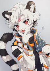 Rule 34 | 1boy, animal ears, body fur, claws, commission, facial mark, furry, furry male, grey background, head tilt, hideko (l33l3b), highres, jacket, male focus, original, paw pose, red eyes, short hair, slit pupils, solo, tail, tiger boy, tiger ears, tiger tail, tongue, tongue out, turtleneck, upper body, white fur, white hair, white jacket