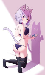 Rule 34 | 1girl, ahoge, animal ear fluff, animal ears, ass, back, black thighhighs, bottle, cat, cat ears, cat tail, choker, day, different shadow, full body, highres, holding, holding bottle, hololive, indoors, kneeling, light blush, longcat (meme), looking at viewer, looking back, meme, nekomata okayu, no shoes, parted lips, plastic bottle, purple eyes, purple hair, sasaki (glass1138), shadow, short hair, solo, sports bra, tail, thighhighs, thighs, underwear, underwear only, virtual youtuber, water bottle