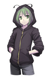 Rule 34 | 1girl, alternate costume, androgynous, antennae, batsu, contemporary, female focus, green hair, hands in pockets, hood, hooded jacket, jacket, reverse trap, short hair, simple background, sleeves pushed up, solo, touhou, white background, wriggle nightbug