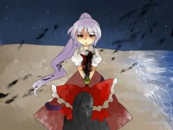 Rule 34 | 2girls, bow, darkness, dress, from behind, hair bow, hakurei reimu, hammer (sunset beach), holding, holding sword, holding weapon, katana, multiple girls, night, night sky, ponytail, puffy short sleeves, puffy sleeves, purple hair, red bow, red dress, shore, short sleeves, silent sinner in blue, sky, star (sky), starry sky, sword, touhou, touhou bougetsushou, watatsuki no yorihime, water, weapon
