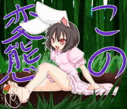 Rule 34 | 1girl, animal ears, ass, barefoot, black hair, rabbit ears, carrot, feet, female focus, inaba tewi, outdoors, plant, ryu-tan, ryutan, sexually suggestive, short hair, sitting, soles, solo, toes, touhou, translation request, tree