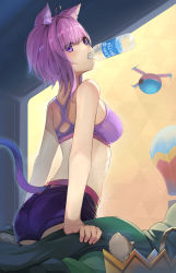Rule 34 | 1girl, ahoge, animal ears, bare arms, bare shoulders, bottle, breasts, cat, cat ears, cat girl, cat tail, commentary request, drone, eyes visible through hair, fall guys, from behind, hololive, looking back, medium breasts, medium hair, mouth hold, nekomata okayu, purple eyes, purple hair, purple shorts, purple sports bra, short shorts, shorts, solo, sora no tori, sports bra, sweat, tail, virtual youtuber, water bottle