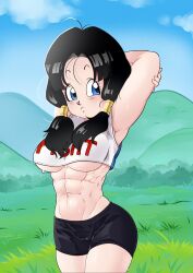 Rule 34 | abs, arms behind head, black hair, blue eyes, breasts, cameltoe, cloud, cloudy sky, crop top, dragon ball, grass, highres, large breasts, mountain, muscular, muscular female, pigtail braids, sky, stretching, sweat, sweatdrop, tagme, tank top, thick thighs, thighs, train suit, training shorts, underboob, videl