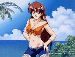 Rule 34 | 1990s (style), 1996, 1girl, bare shoulders, bracelet, breasts, brown eyes, brown hair, cloud, copyright name, copyright notice, cowboy shot, dated, day, earrings, facing viewer, groin, hands on own hips, jewelry, juliana (megami paradise), long hair, looking at viewer, medium breasts, megami paradise, midriff, navel, nec corporation, nec home electronics, necklace, ocean, official art, open fly, outdoors, retro artstyle, ring, shirt, shorts, sky, solo, standing, strap slip, tied shirt