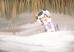 Rule 34 | 1girl, ^ ^, bird tail, closed eyes, coat, fur collar, head tilt, head wings, highres, jacy, kemono friends, leaning to the side, northern white-faced owl (kemono friends), outdoors, photo-referenced, plant, smile, snow, solo, tail, wings