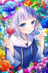 Rule 34 | 1girl, blue eyes, blush, commentary request, fang, flower, flower request, gawr gura, grey hair, haruhitooo, highres, holding, holding flower, hololive, hololive english, long hair, long sleeves, looking at viewer, red flower, red rose, rose, skin fang, smile, solo, upper body, virtual youtuber