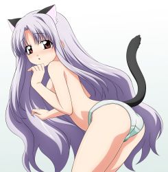 Rule 34 | 1girl, absurdres, animal ears, ass, azmaria hendric, bent over, blush, breasts, cameltoe, cat ears, cat tail, chrno crusade, highres, kemonomimi mode, long hair, looking back, panties, purple hair, red eyes, small breasts, solo, sugimura tomokazu, tail, topless, underwear, wet, wet clothes, wet panties