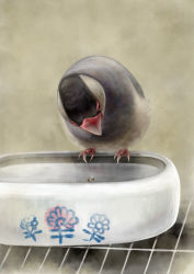Rule 34 | animal, beak, bird, bowl, claws, flower, kodama (artist), no humans, water