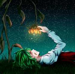 Rule 34 | 1girl, ascot, atami, bad id, bad pixiv id, female focus, flower, glowing, grass, green hair, juliet sleeves, kazami yuuka, leaf, long sleeves, lying, night, night sky, on back, outdoors, outstretched arm, parted lips, petals, plant, profile, puffy sleeves, red eyes, red vest, shirt, short hair, sky, solo, star (sky), starry sky, sunflower, touhou, vest, white shirt
