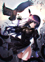 Rule 34 | 1girl, animal, arm at side, artist name, bird, black dress, black gloves, black hairband, black ribbon, black thighhighs, blindfold, blunt bangs, blush, breasts, cleavage, cleavage cutout, closed mouth, clothing cutout, cosplay, cowboy shot, crow, dress, feather-trimmed sleeves, feather trim, feathers, floating hair, gloves, groin, hairband, hand up, highleg, highleg leotard, highres, hkn (ringya), juliet sleeves, legs together, leotard, long hair, long sleeves, looking at viewer, love live!, love live! sunshine!!, medium breasts, nier:automata, nier (series), one eye covered, outdoors, print dress, puffy sleeves, purple eyes, purple hair, ribbon, ribbon-trimmed dress, short dress, side slit, skindentation, smile, solo, standing, thighhighs, tsushima yoshiko, turtleneck, twitter username, vambraces, white leotard, white ribbon, wind, 2b (nier:automata), 2b (nier:automata) (cosplay)