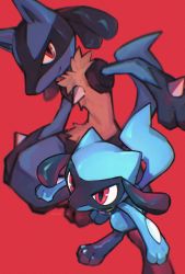 Rule 34 | blurry, closed mouth, commentary request, creatures (company), evolutionary line, game freak, gen 4 pokemon, highres, looking at viewer, lucario, nintendo, pokemon, pokemon (creature), red background, red eyes, riolu, smile, spikes, tako2 eaka, yellow fur