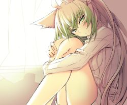 Rule 34 | 1girl, ahoge, animal ears, atalanta (fate), blush, breasts, cat ears, commentary request, curtains, fate/apocrypha, fate (series), gradient hair, green eyes, green hair, hair between eyes, half-closed eyes, hugging own legs, long hair, looking at viewer, medium breasts, multicolored hair, nahu, ribbed sweater, sketch, solo, sweater, turtleneck, turtleneck sweater, window