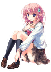 Rule 34 | 1girl, aqua eyes, black socks, blue eyes, blush, brown footwear, clothes between thighs, clover, finger to mouth, four-leaf clover, full body, hair ornament, kneehighs, loafers, long sleeves, looking at viewer, pink hair, plaid, plaid skirt, school uniform, shoes, simple background, sitting, skirt, socks, solo, white background, yasaka minato