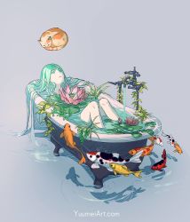 Rule 34 | 1girl, aqua eyes, aqua hair, bath, cat, colored skin, commentary, english commentary, fish, highres, koi, lily pad, long hair, looking up, original, partially submerged, plant, purple background, ripples, solo, very long hair, watermark, web address, white skin, yuumei