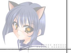 Rule 34 | 00s, 1girl, animal ears, blue hair, busou renkin, cat ears, scar, simple background, solo, tsumura tokiko, wallpaper, yellow eyes