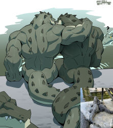 Rule 34 | 2boys, ?, absurdres, arm around shoulder, ass, back muscles, bara, completely nude, couple, crocodile, crocodilian, from behind, fsl6, furry, furry with furry, green theme, highres, intertwined tails, male focus, multiple boys, muscular, muscular male, nude, original, photo inset, yaoi