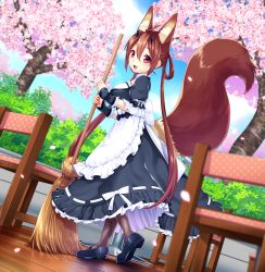 Rule 34 | 1girl, animal ears, apron, bad id, bad pixiv id, black footwear, black pantyhose, blurry, blush, breasts, broom, brown hair, chair, cherry blossoms, depth of field, dutch angle, fingerless gloves, frilled apron, frills, from side, gloves, hair between eyes, hair rings, highres, holding, holding broom, looking at viewer, maid, mary janes, medium breasts, open mouth, outdoors, pantyhose, petals, phantasy star, phantasy star online 2, polka dot, sakura chiyo (konachi000), shoes, sidelocks, smile, solo, standing, tail, twintails, waist apron