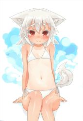 Rule 34 | 1girl, aged down, animal ear fluff, animal ears, bikini, blush, commentary request, covered erect nipples, flat chest, hair between eyes, highres, inubashiri momiji, kibisake, looking at viewer, navel, red eyes, short hair, side-tie bikini bottom, simple background, smile, solo, swimsuit, tail, tan, touhou, white background, white bikini, white hair, wolf ears, wolf tail