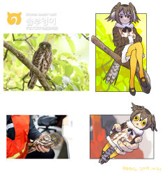 Rule 34 | 1girl, :&lt;, animal, bird, bird tail, black footwear, branch, brown hair, brown hawk-owl (kemono friends) (roonhee), character name, coat, commentary request, crossed legs, dated, fur-trimmed coat, fur-trimmed sleeves, fur collar, fur trim, hair between eyes, head wings, japari symbol, kemono friends, korean commentary, looking at viewer, mini person, minigirl, mixed-language commentary, mixed-language text, multicolored hair, multilingual, original, owl, pantyhose, personification, photo-referenced, photo inset, reference inset, roonhee, serious, shoes, short hair, signature, sitting, sitting on branch, tail, triangle mouth, white hair, wings, yellow eyes, yellow pantyhose