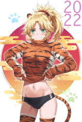 Rule 34 | 1girl, 2022, alternate costume, bikini, bikini bottom only, blonde hair, blush, braid, breasts, closed mouth, fang, fang out, fate/apocrypha, fate (series), female focus, french braid, green eyes, hair intakes, highres, long hair, long sleeves, looking at viewer, mordred (fate), mordred (fate/apocrypha), navel, parted bangs, ponytail, sidelocks, small breasts, smile, solo, swimsuit, thighhighs, thighs, tonee, upper body