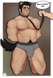 Rule 34 | 2boys, abs, animal collar, bara, beard stubble, black hair, blush, boxer briefs, bulge, collar, dog tail, english text, facial hair, fake tail, furrowed brow, ginger alex (drawingsns1uff), grey male underwear, highres, holding, holding leash, human dog, kneeling, large pectorals, leash, looking at another, lucas lee, male focus, male underwear, multiple boys, muscular, muscular male, navel, nipples, pectorals, pet play, scott pilgrim (series), scott pilgrim takes off, short hair, smile, solo focus, stomach, stubble, tail, thick eyebrows, thick navel hair, thick thighs, thighs, topless male, underwear, yaoi