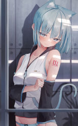 Rule 34 | 1girl, 200f (nifu), absurdres, animal ears, blue eyes, blue hair, blue panties, cat ears, cat girl, cat tail, closed mouth, collarbone, detached sleeves, hatsune miku, highres, kemonomimi mode, long sleeves, looking at viewer, no pants, number tattoo, panties, shirt, short hair, shoulder tattoo, smile, solo, tail, tattoo, underwear, upper body, vocaloid, white shirt