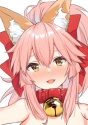Rule 34 | 1girl, animal ear fluff, animal ears, bell, blush, collar, commentary, commentary request, fangs, fate/grand order, fate (series), fox ears, fox girl, hair ribbon, jingle bell, long hair, neck bell, open mouth, pink hair, ponytail, red ribbon, ribbon, simple background, solo, tamamo (fate), tamamo cat (fate), upper body, white background, yamamura umi, yellow eyes