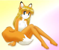 Rule 34 | 1girl, animal ears, barefoot, blonde hair, feet, fox ears, fox tail, full body, furry, furry female, green eyes, long hair, looking at viewer, nude, pisipisi, sitting, smile, solo, tail, toes, whiskers