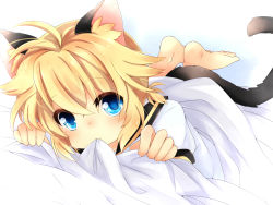 Rule 34 | 1boy, animal ears, bad id, bad pixiv id, blonde hair, blue eyes, cat boy, cat ears, cat tail, chewing, highres, kagamine len, leeannpippisum, male focus, short hair, smile, solo, tail, vocaloid