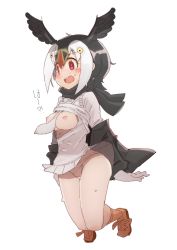 Rule 34 | 10s, 1girl, atlantic puffin (kemono friends), bad id, bad pixiv id, between breasts, black hair, blush, breasts, breasts out, full body, head wings, highres, kemono friends, multicolored hair, necktie, necktie between breasts, nipples, open mouth, panties, red eyes, short hair, simple background, solo, teranekosu, translated, underwear, white background, white hair, white panties, wings