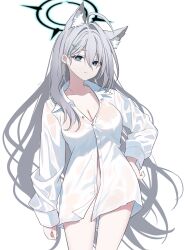 Rule 34 | 1girl, ahoge, animal ear fluff, animal ears, blue archive, blue eyes, breasts, cleavage, closed mouth, collarbone, collared shirt, commentary request, dress shirt, earrings, goyain, grey hair, groin, hair ornament, hair over one eye, halo, hand on own hip, highres, jewelry, long hair, long sleeves, looking at viewer, medium breasts, naked shirt, puffy long sleeves, puffy sleeves, see-through, shiroko (blue archive), shiroko terror (blue archive), shirt, simple background, sleeves past wrists, solo, standing, stud earrings, very long hair, wet, wet clothes, wet shirt, white background, white shirt