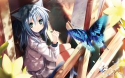 Rule 34 | 1girl, animal ears, aqua eyes, artist name, blue hair, blurry, blush, bug, butterfly, canvas (object), cat ears, cat girl, cat tail, depth of field, drawing, easel, english text, female focus, flower, hair between eyes, highres, holding, holding pencil, indoors, bug, long hair, long sleeves, looking at viewer, nature, original, pencil, petals, pleated skirt, school uniform, shino (eefy), sitting, skirt, solo, tail, wallpaper, wooden pencil