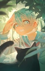 Rule 34 | 1girl, animal, aqua eyes, aqua hair, black cat, blurry, blush, bush, cat, chi chi3939, commentary, day, depth of field, english commentary, grin, hand up, happy, hatsune miku, highres, light particles, long hair, long sleeves, looking at animal, looking at viewer, mixed-language commentary, nature, outdoors, school uniform, serafuku, shading eyes, smile, sunlight, twintails, very long hair, vocaloid