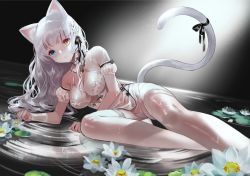 Rule 34 | 1girl, animal ears, blue eyes, breasts, cat ears, cat girl, cat tail, commentary request, detached sleeves, flower, heterochromia, lingerie, long hair, looking at viewer, lying, medium breasts, on side, original, panties, parted lips, puffy short sleeves, puffy sleeves, ribbon, short sleeves, silver hair, solo, tail, tail ornament, tail ribbon, terai (teraimorimori), thighhighs, underwear, underwear only, wet, wet clothes, wristband, yellow eyes