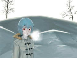Rule 34 | ayanami rei, bad id, bad pixiv id, blue hair, breath, coat, cold, hac9, neon genesis evangelion, red eyes, short hair, snow, solo, toggles, tree