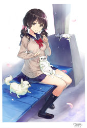 Rule 34 | 1girl, animal, bench, black footwear, black hair, black socks, blue sailor collar, blue skirt, blush, bow, bowtie, breasts, brown eyes, brown hair, cardigan, cat, cherry blossoms, chihuahua, closed mouth, dated, dog, food, full body, hair bow, head tilt, holding, holding food, kneehighs, loafers, long hair, long sleeves, looking at viewer, low twintails, medium breasts, miniskirt, original, petals, pink bow, pleated skirt, pocky, red bow, red neckwear, sailor collar, sanbasou, school uniform, serafuku, shirt, shoes, signature, sitting, skirt, sleeves past wrists, smile, socks, twintails, white shirt